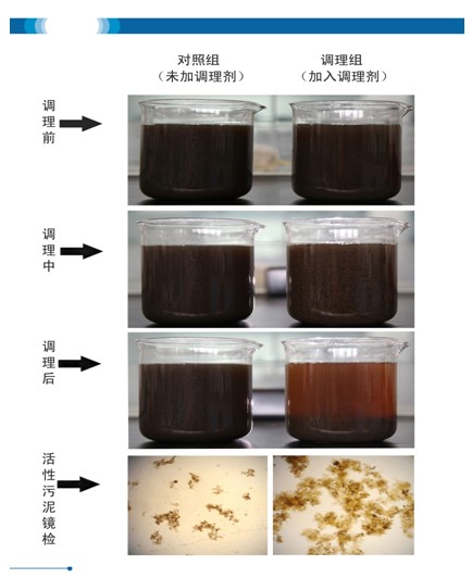 我院重點實驗室研發出活性污泥調理劑