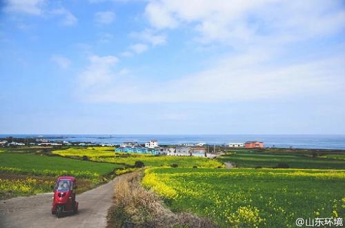 山東十七城市能見度排名