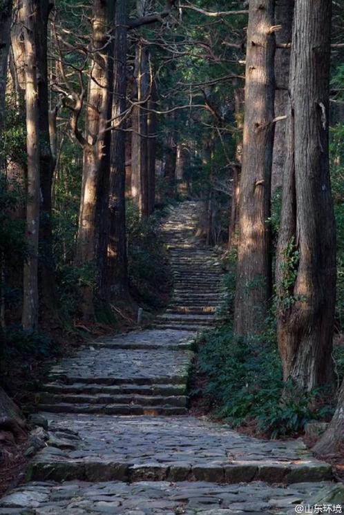 山東十七城市能見(jiàn)度排名