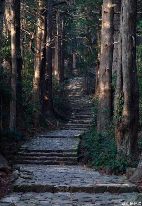 山東十七城市能見度排名